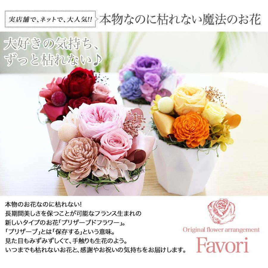 ■ココットファボリ