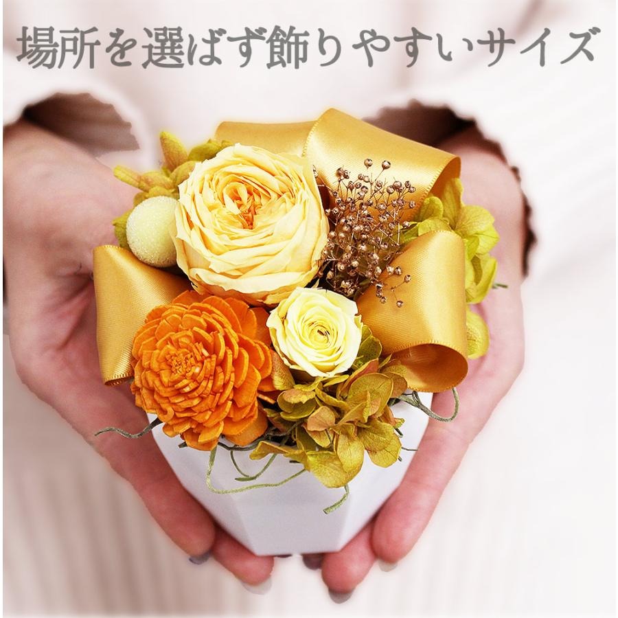 ■ココットファボリ