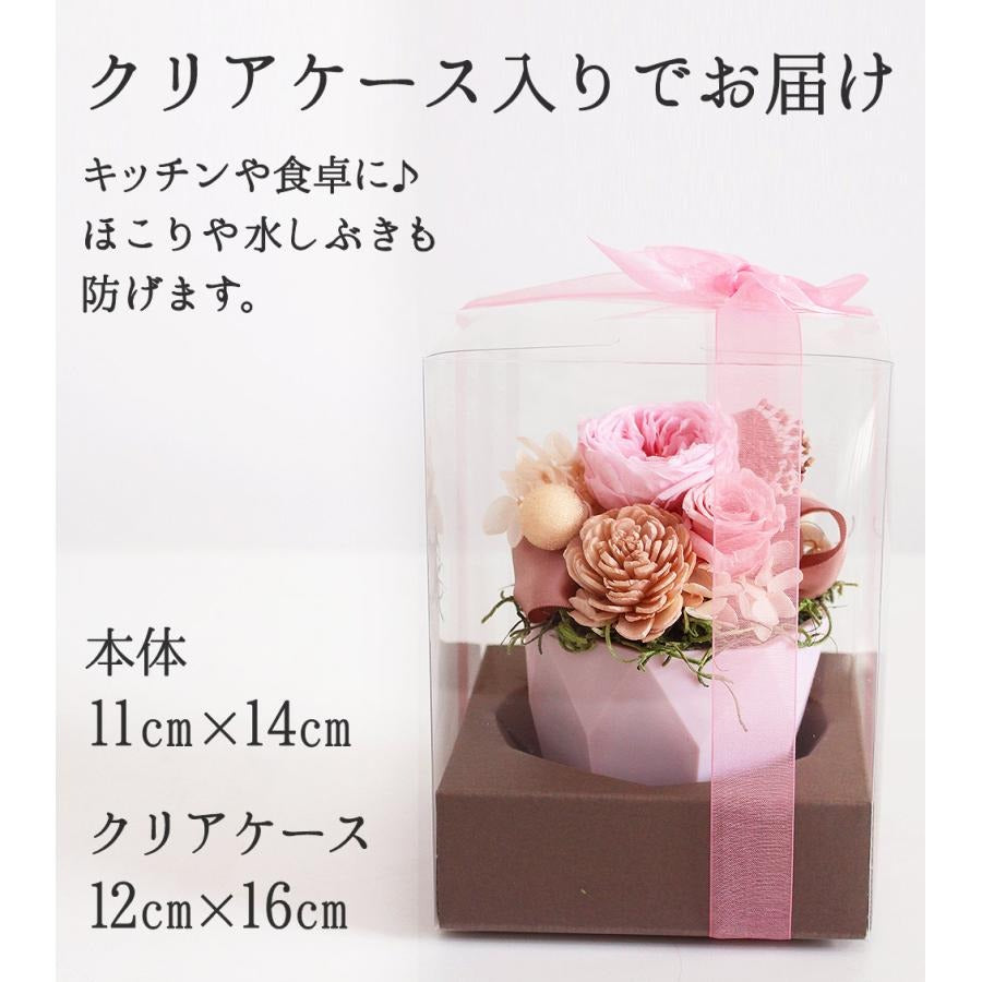 ■ココットファボリ