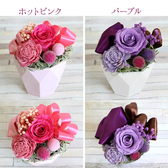 ■Favori〜ファボリ〜+お酒のセット