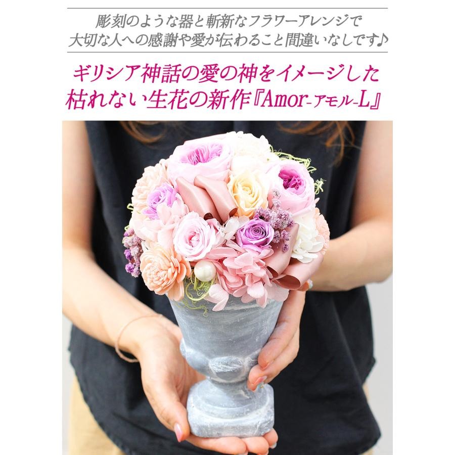 ■アモルL
