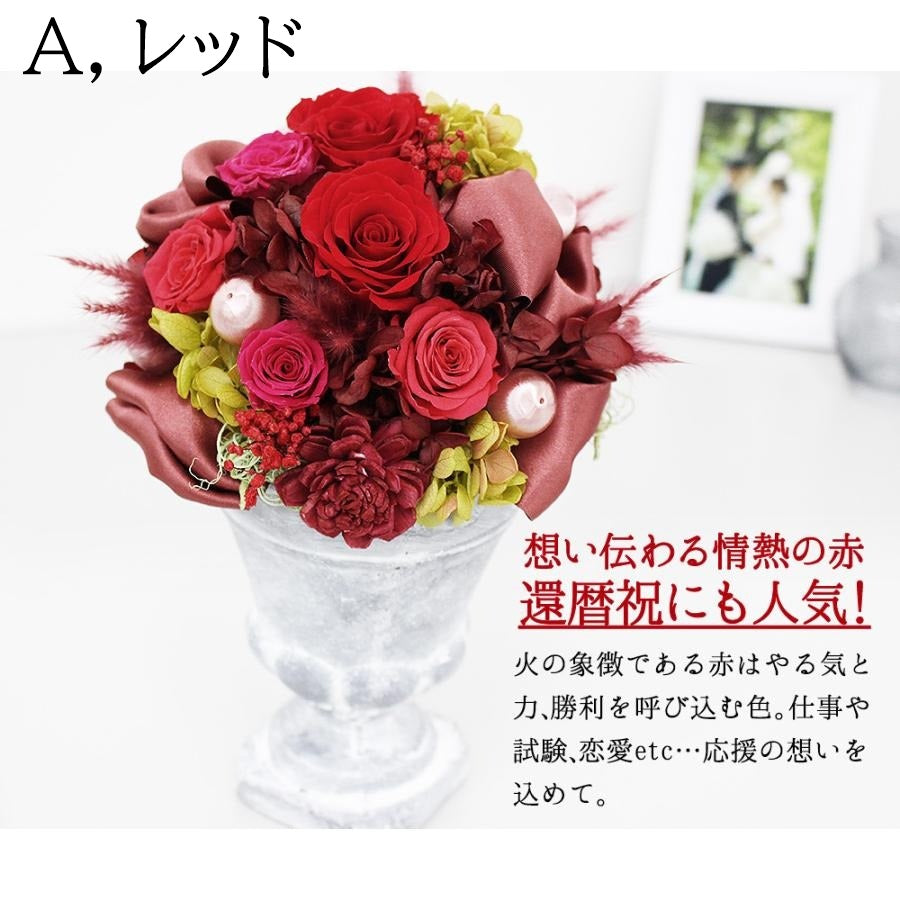 ■アモルL