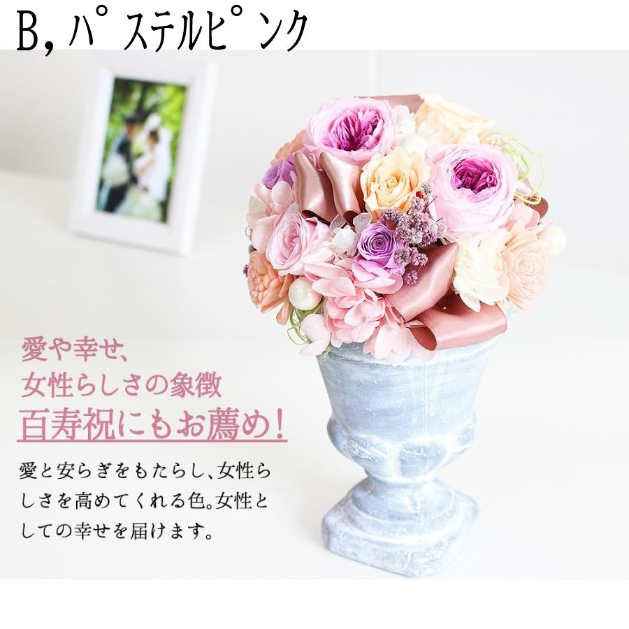 ■アモルL