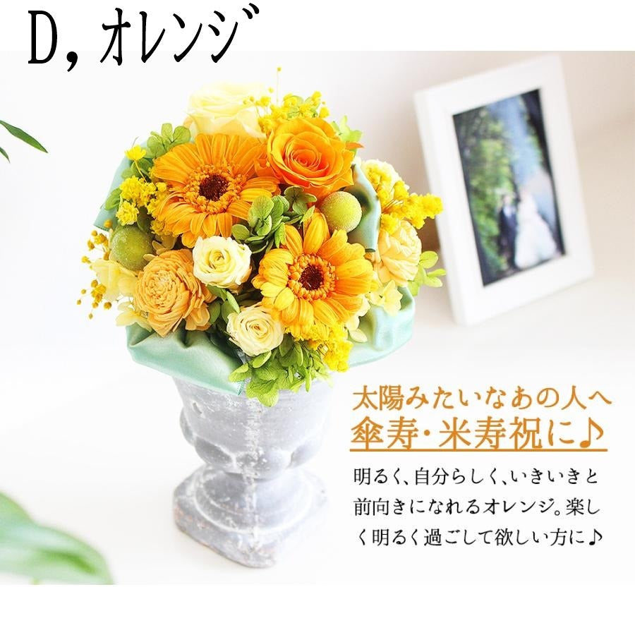 ■アモルL