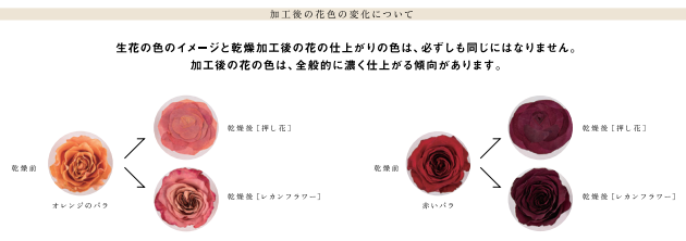 エレガントゴールドLL【押し花敷詰め】