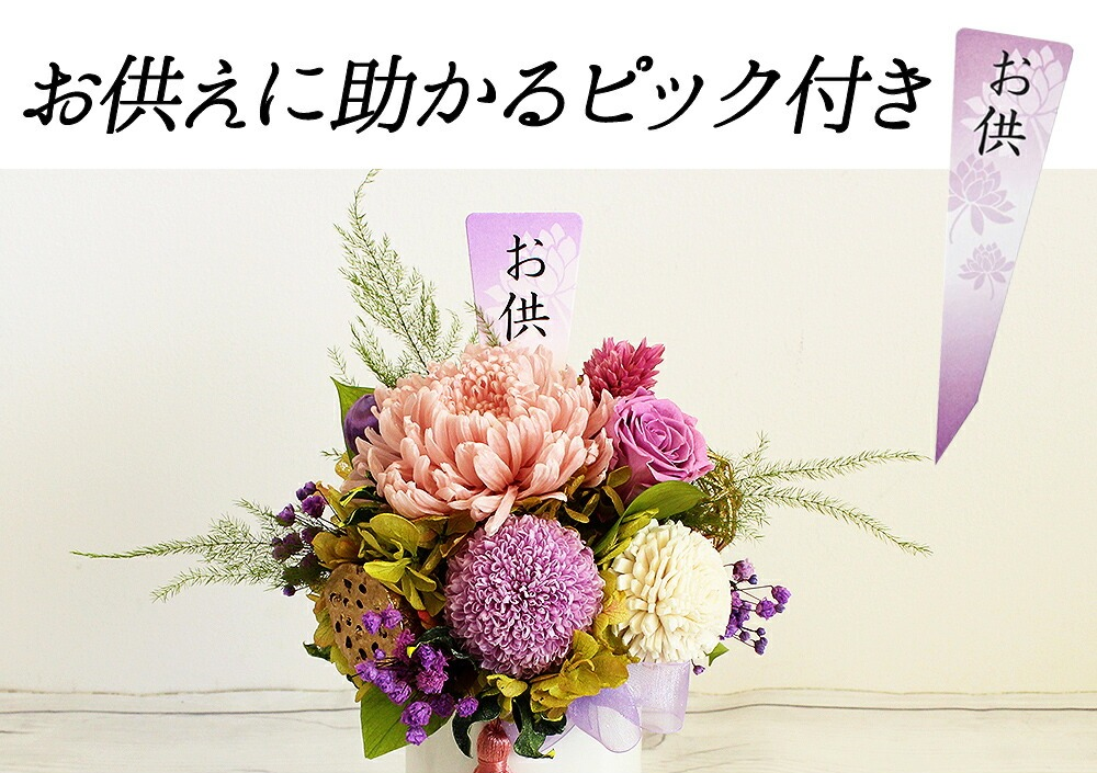 ■輪菊