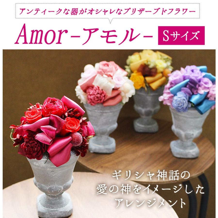■アモルS