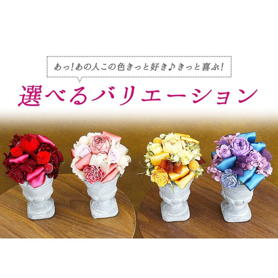 ■アモルS