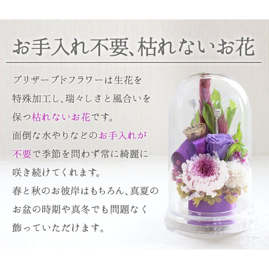 ■花雲-仏花ドーム