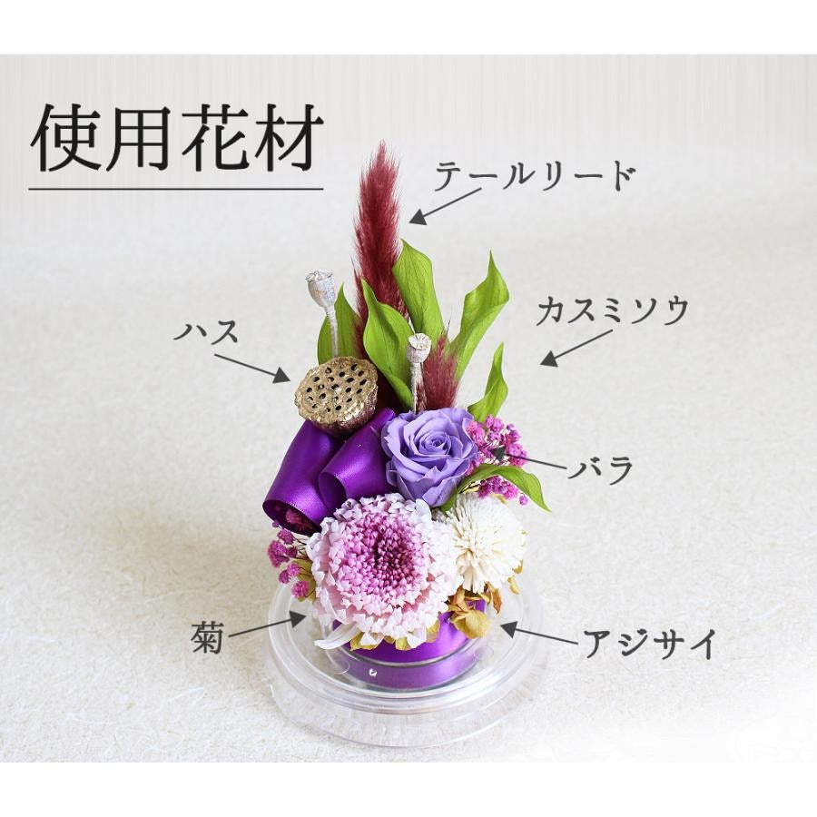 ■花雲-仏花ドーム