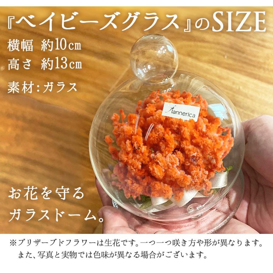 ■お供えカスミソウガラスドーム