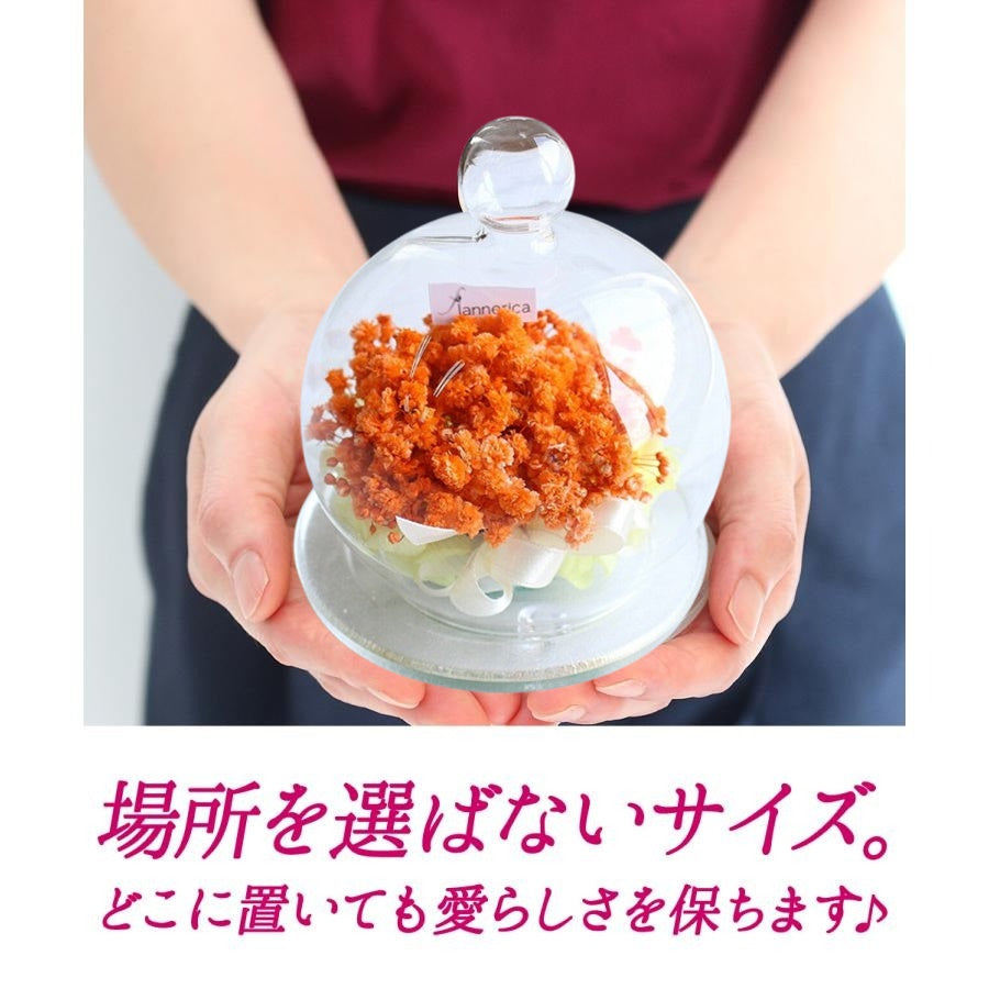 ■お供えカスミソウガラスドーム