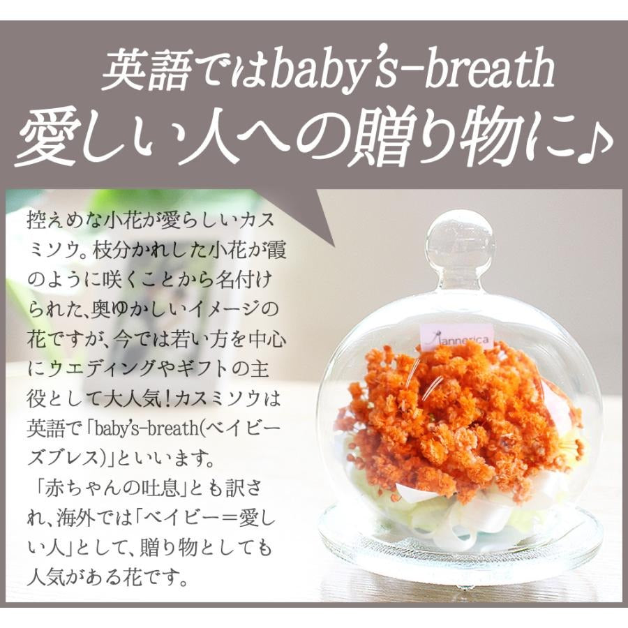 ■ベイビーズグラス(カスミソウガラスドーム )