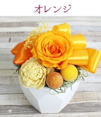 ■Favori〜ファボリ〜+お酒のセット