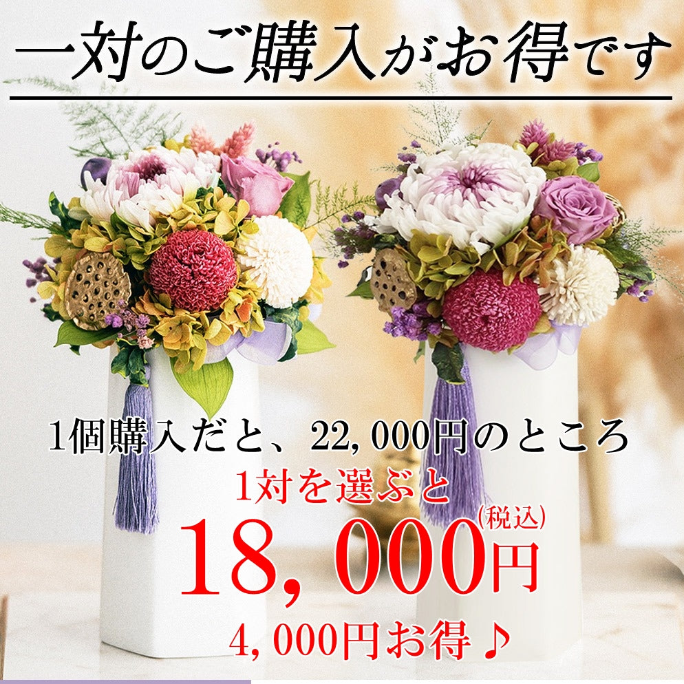 ■輪菊