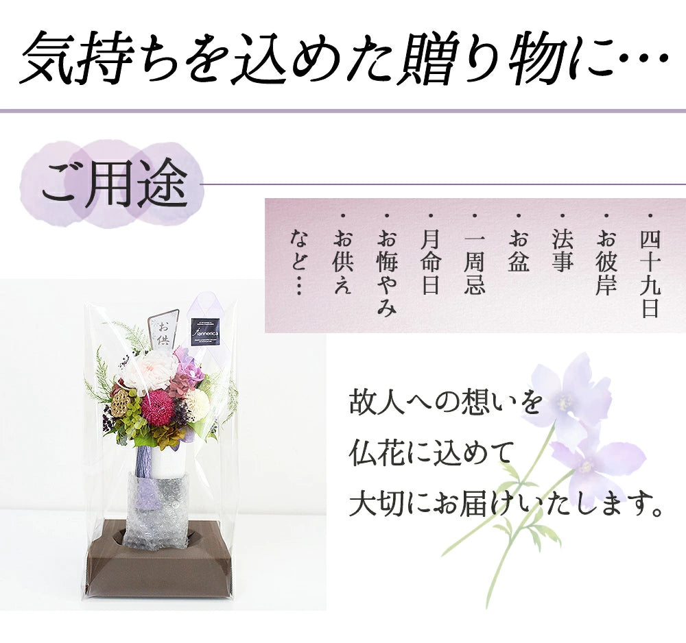 ■輪菊