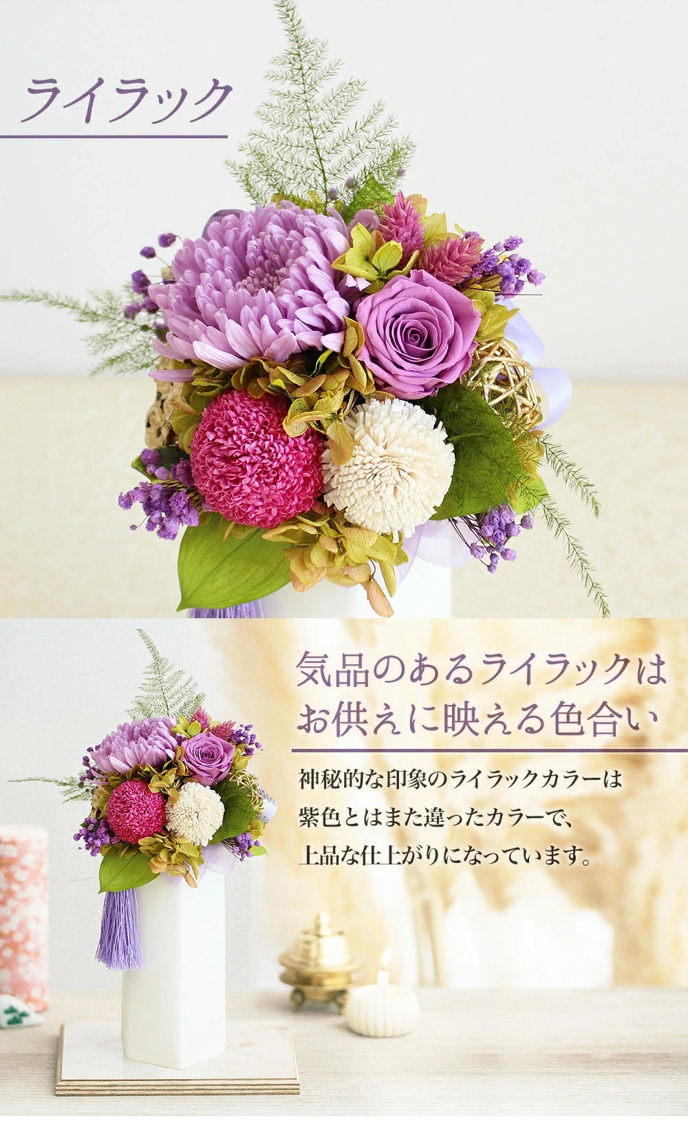 ■輪菊