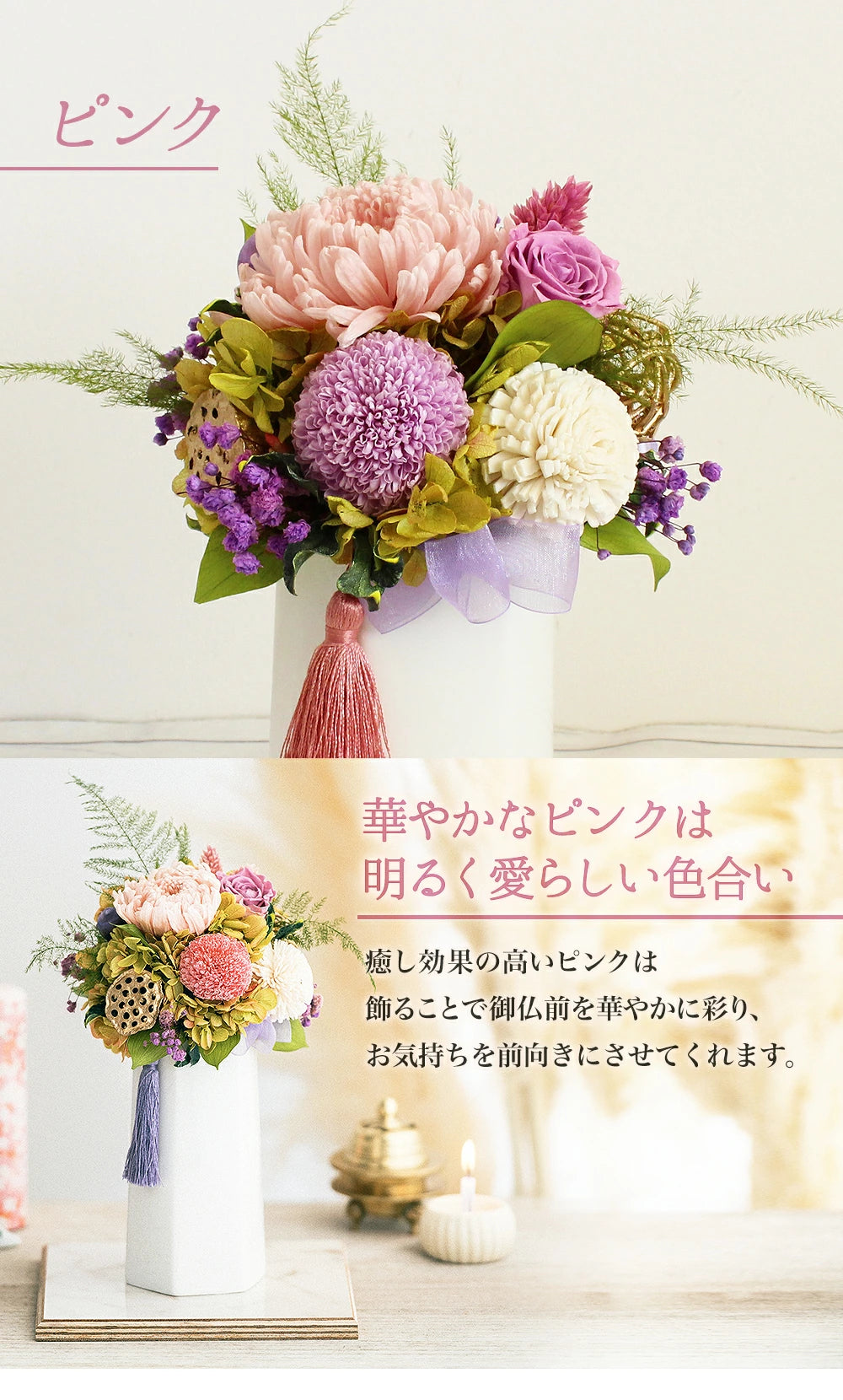 ■輪菊