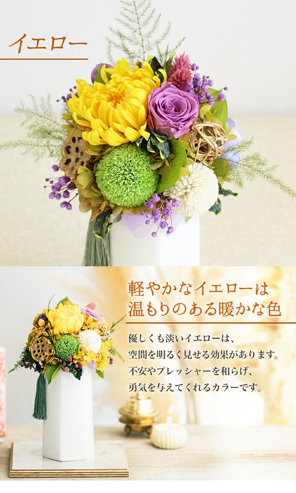■輪菊