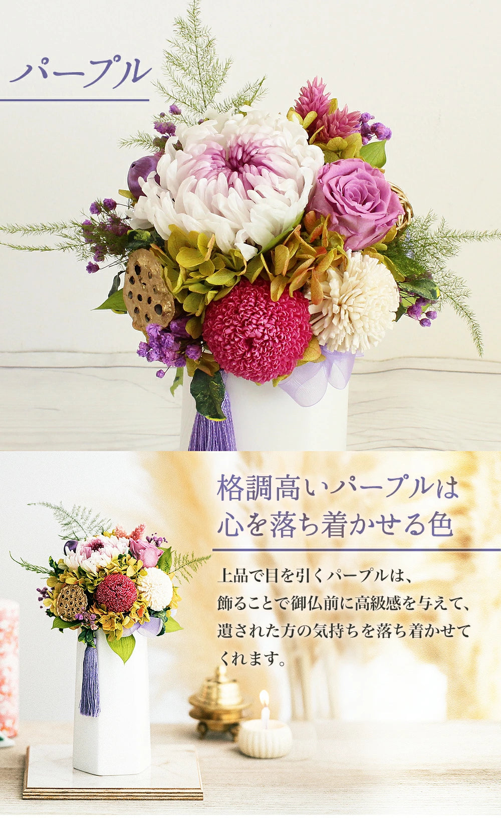 ■輪菊