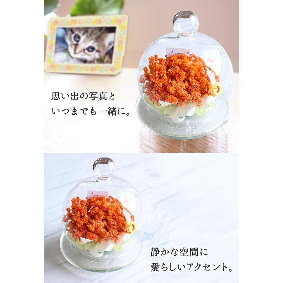 ■お供えカスミソウガラスドーム