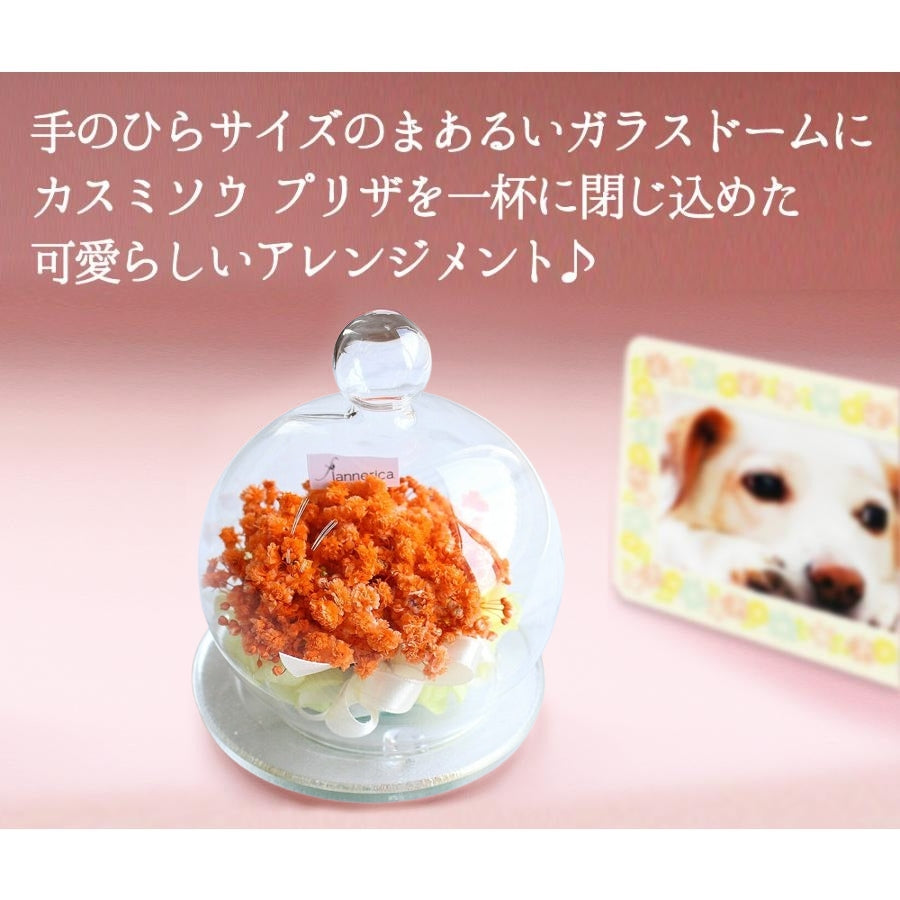 ■お供えカスミソウガラスドーム
